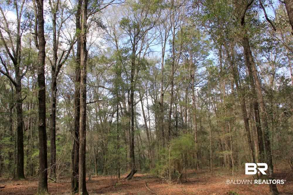 0 County Road 49 Loxley, AL 36551 - Photo 29 of 33