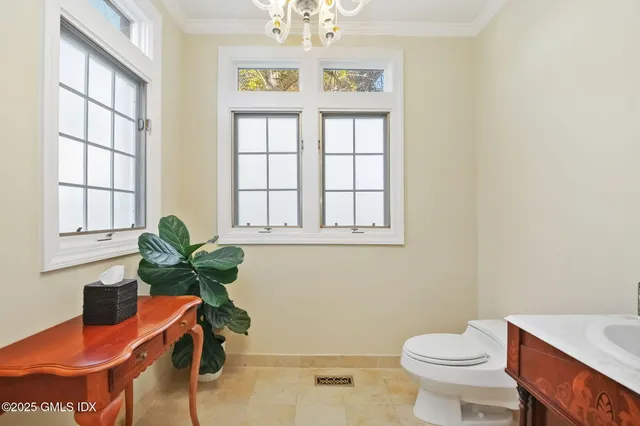 a bath room with a window and a potted plant