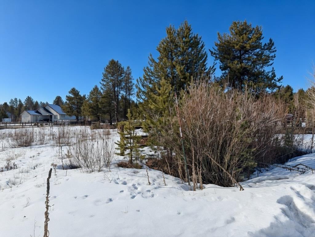 12918 Red Fir Road Donnelly, ID 83615 - Photo 1 of 7 Main View