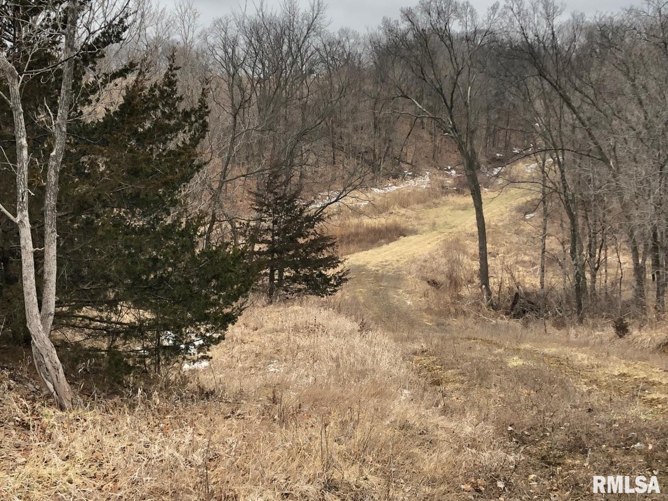 0 County Rd Road Smithfield, IL 61477 - Photo 5 of 47