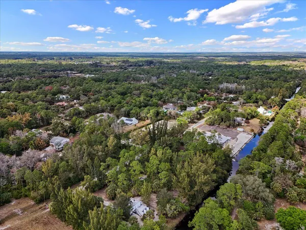 a view of a city with lush green forest