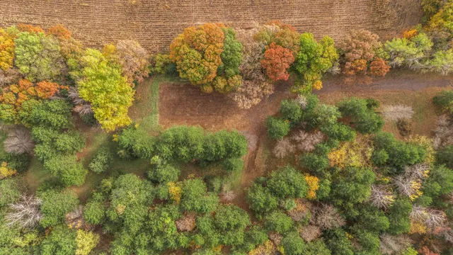 $260,000 | 1921 40th Street South, St. Cloud, MN 56301