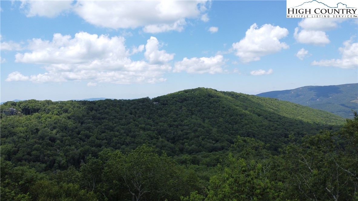 Lot 6 South View Trail Banner Elk, NC 28604 - Photo 13 of 14 a view of a bunch of trees in background