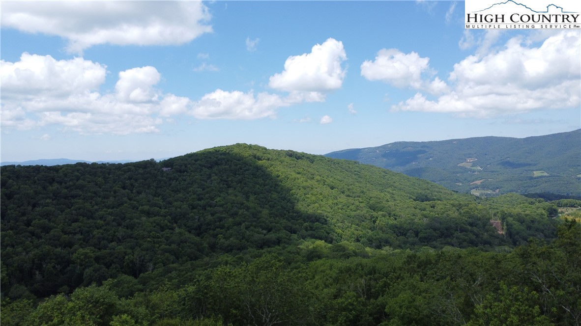 Lot 6 South View Trail Banner Elk, NC 28604 - Photo 3 of 14 a view of a bunch of trees in a field