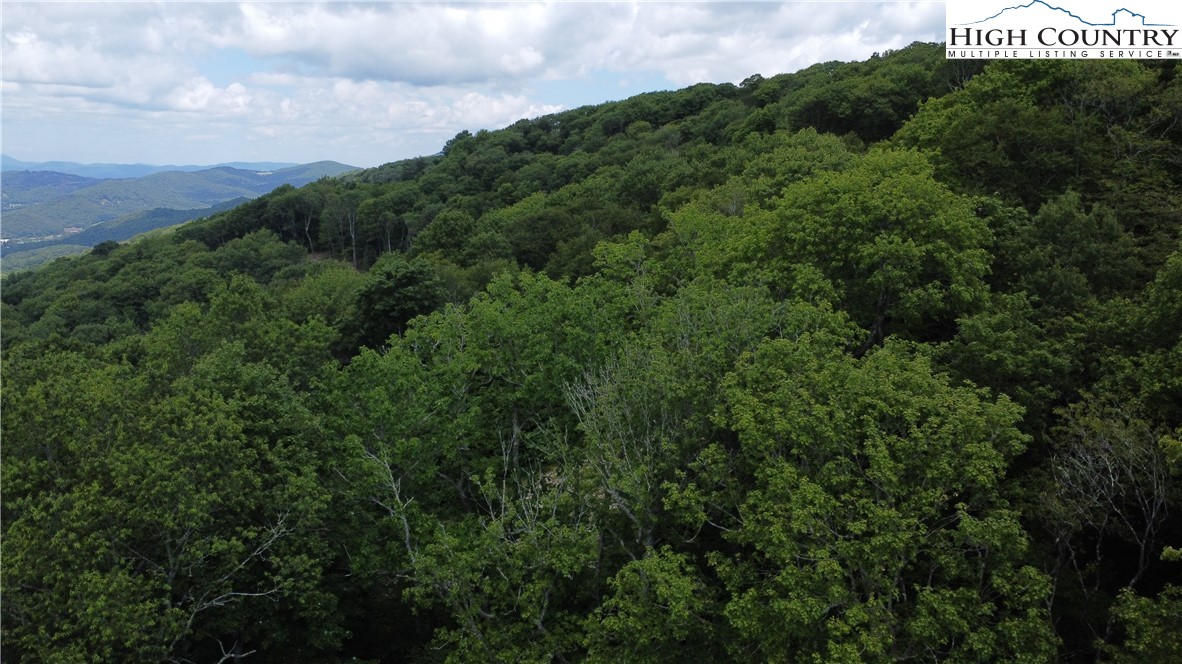 Lot 6 South View Trail Banner Elk, NC 28604 - Photo 5 of 14 a view of a forest with a street