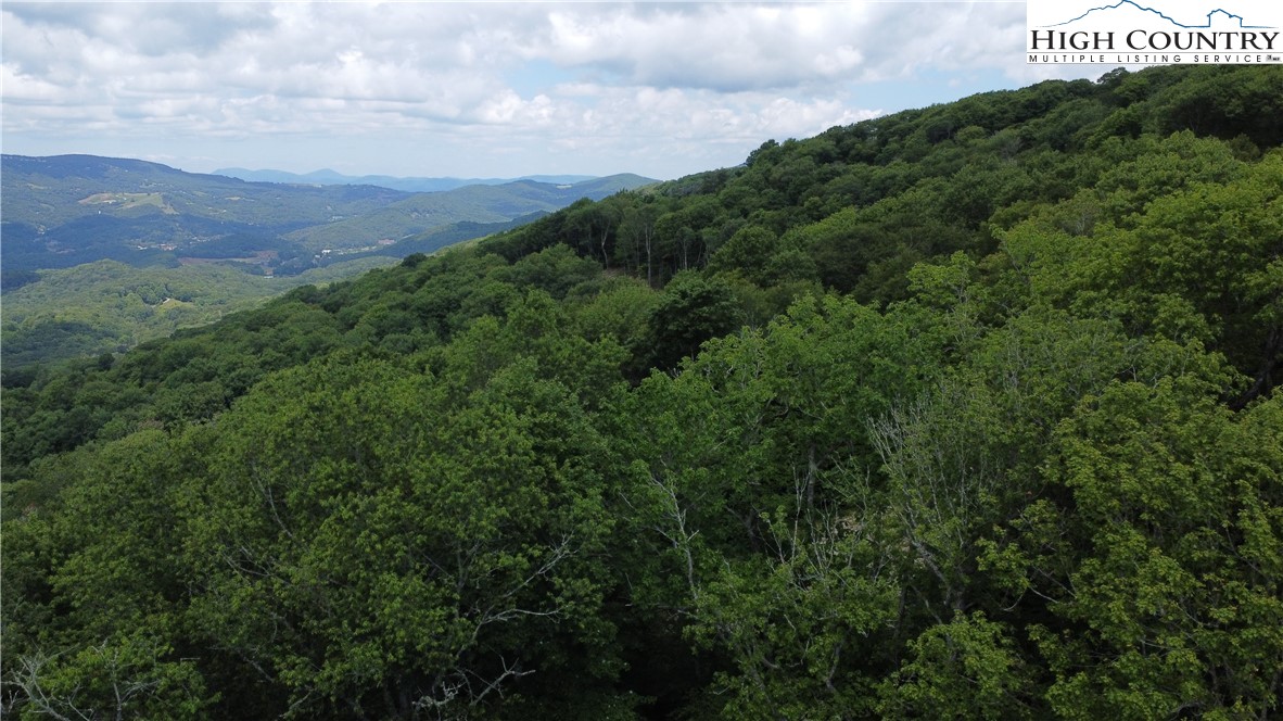 Lot 6 South View Trail Banner Elk, NC 28604 - Photo 6 of 14 a view of a field with a tree in the background
