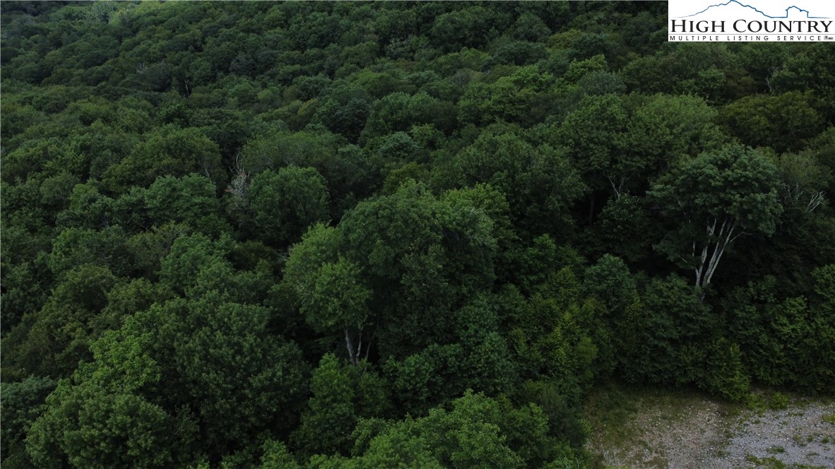 Lot 6 South View Trail Banner Elk, NC 28604 - Photo 7 of 14 an aerial view of a yard