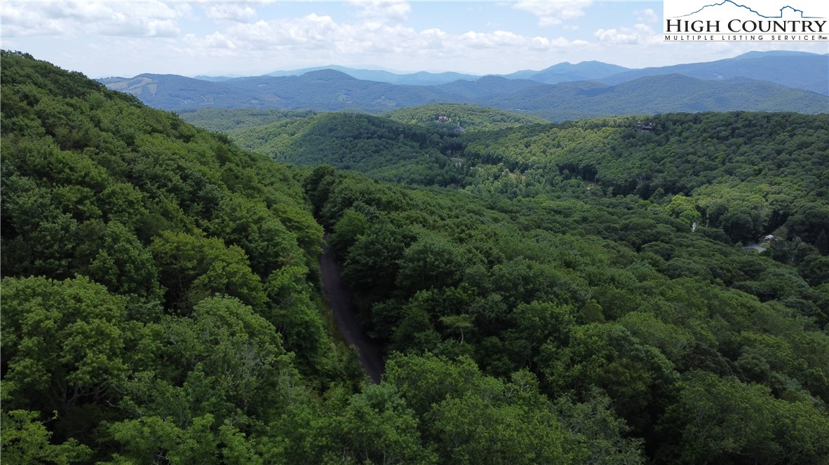 Lot 6 South View Trail Banner Elk, NC 28604 - Photo 9 of 14 a view of a lush green hillside and a houses