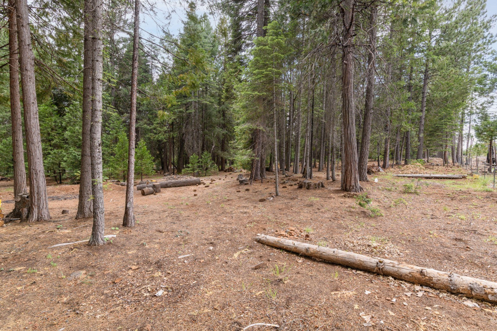 36088 Deer Flat Road Shingletown, CA 96088 - Photo 18 of 21 a view of outdoor space with sink and trees