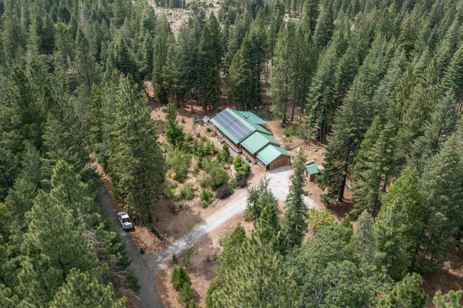 36088 Deer Flat Road Shingletown, CA 96088 - Photo 21 of 21 a view of a forest with a tree
