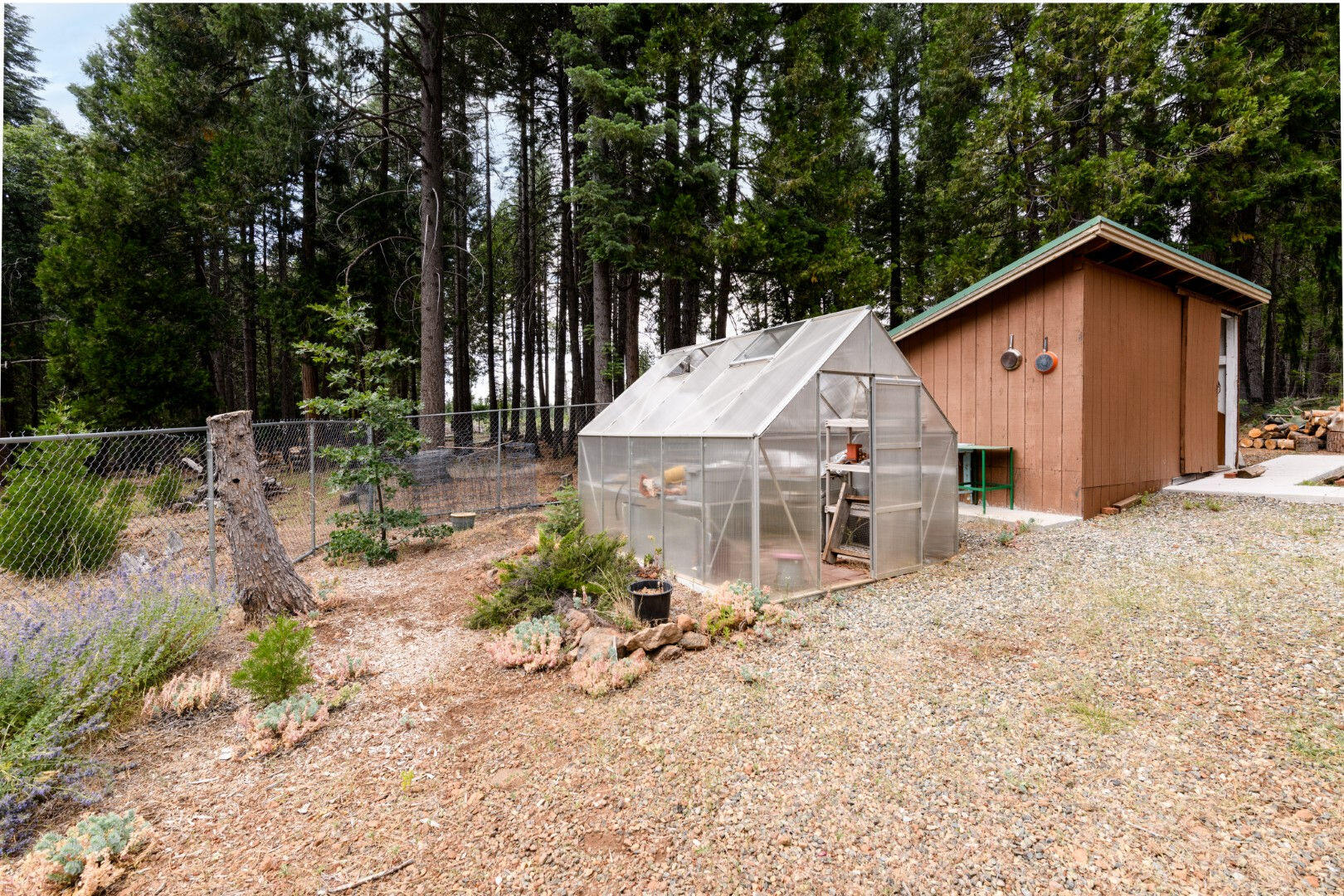 36088 Deer Flat Road Shingletown, CA 96088 - Photo 8 of 21 a view of a small house with yard and sitting area