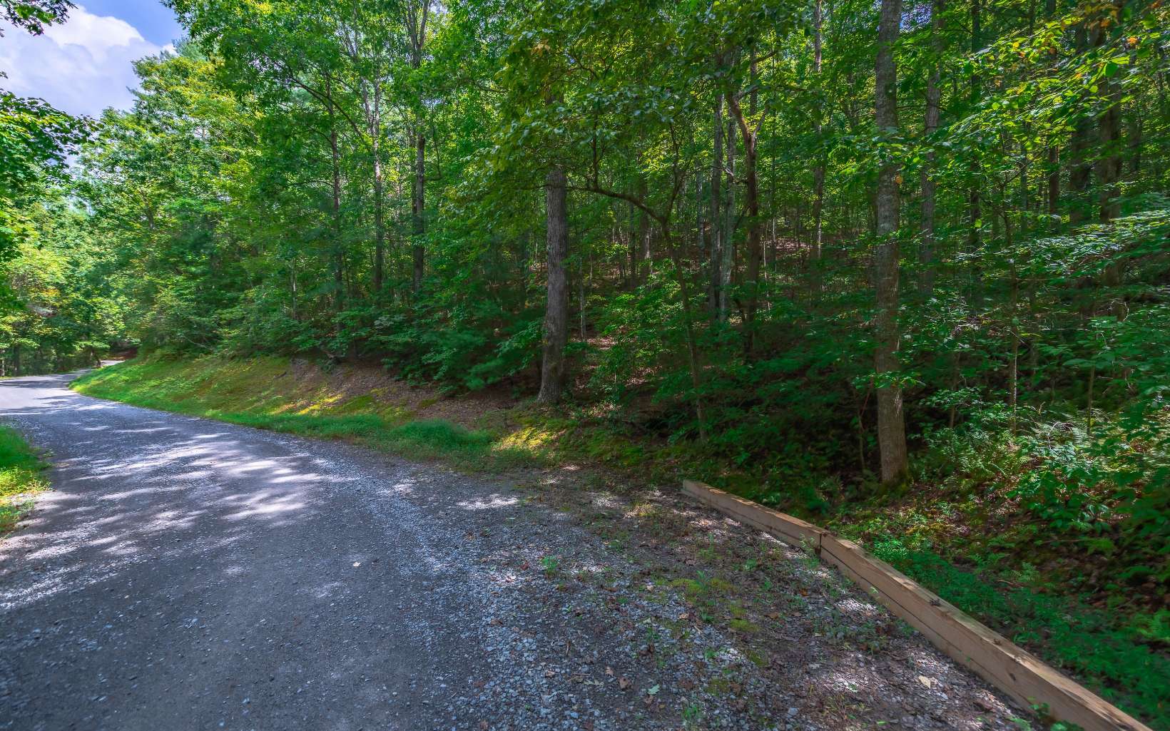 Lot#26 River Way Blue Ridge, GA 30513 - Photo 1 of 1 a view of a yard with plants and a trees