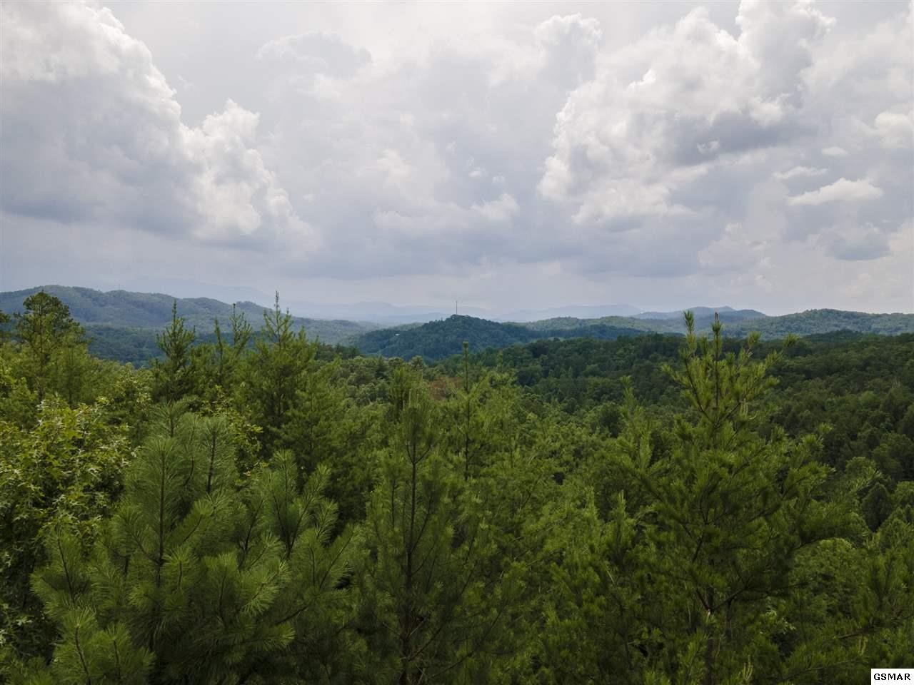 43 Sharp Road Sevierville, TN 37876 - Photo 8 of 24 a view of a green field with lots of bushes