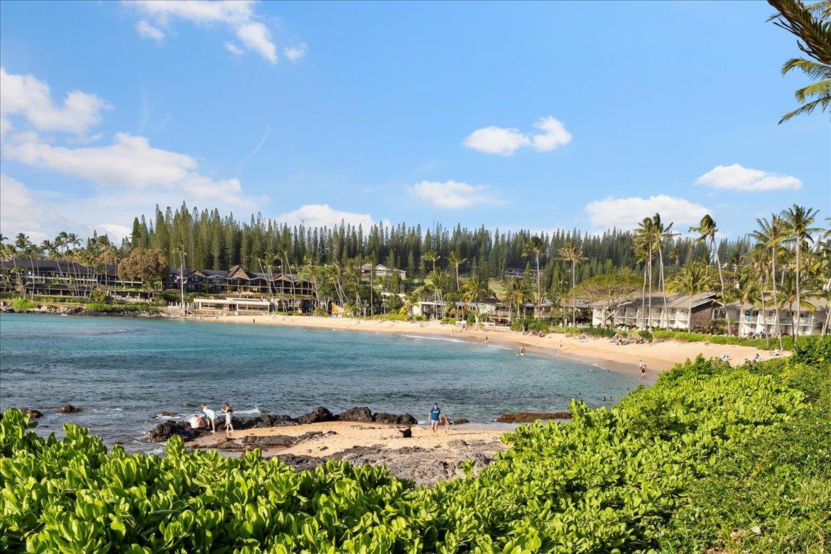 5315 Lower Honoapiilani Road, Unit H263 Lahaina, HI 96761 - Photo 45 of 50 Gallery Image 45