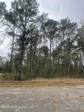 $25,000 | Sand Cove, Gautier, MS 39553