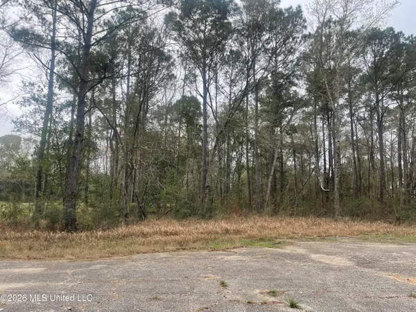 $25,000 | Sand Cove, Gautier, MS 39553
