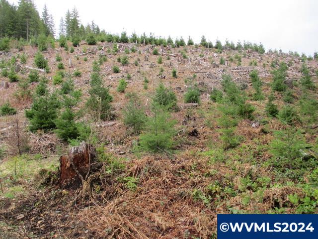 0 Quartzville Road Cascadia, OR 97329 - Photo 6 of 10