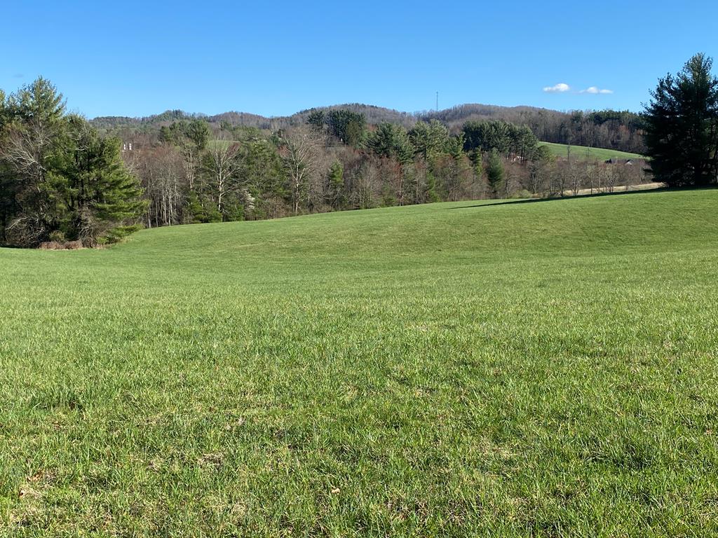 Tbd Glendale Road Galax, VA 24333 - Photo 1 of 4 Gallery Image 1