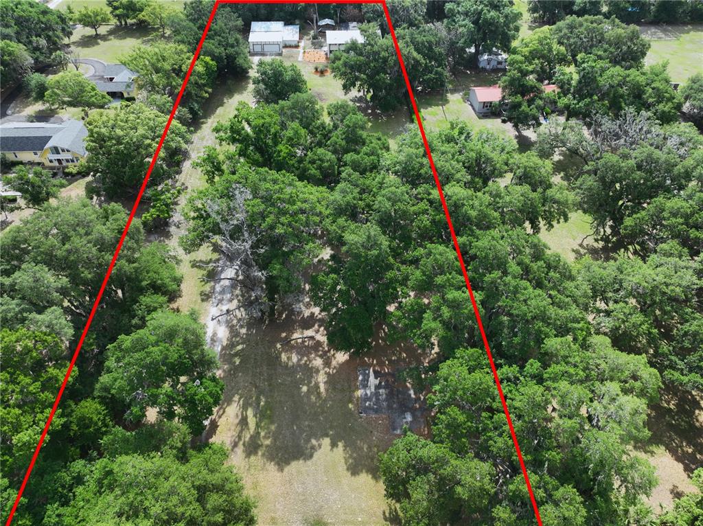 11008 Browning Road Lithia, FL 33547 - Photo 76 of 88