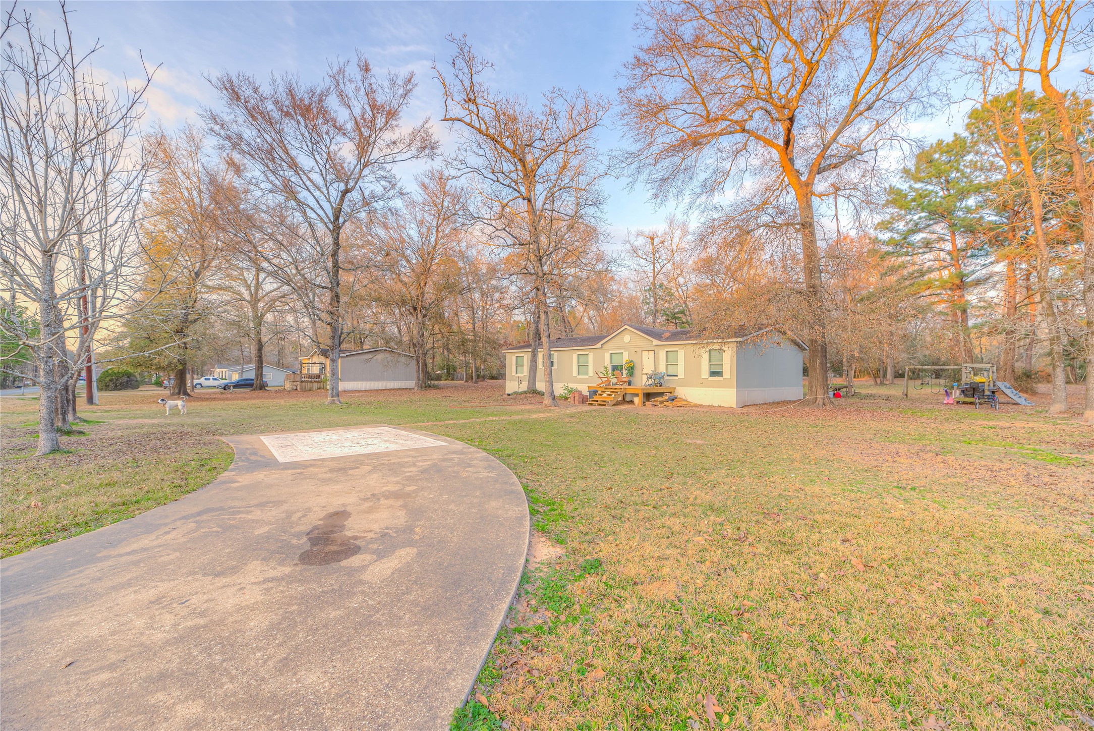 17709 Pine View Drive Conroe, TX 77302 - Photo 5 of 26 a view of road with large trees