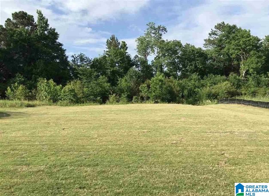 704 Crider Road Alabaster, AL 35114 - Photo 9 of 12
