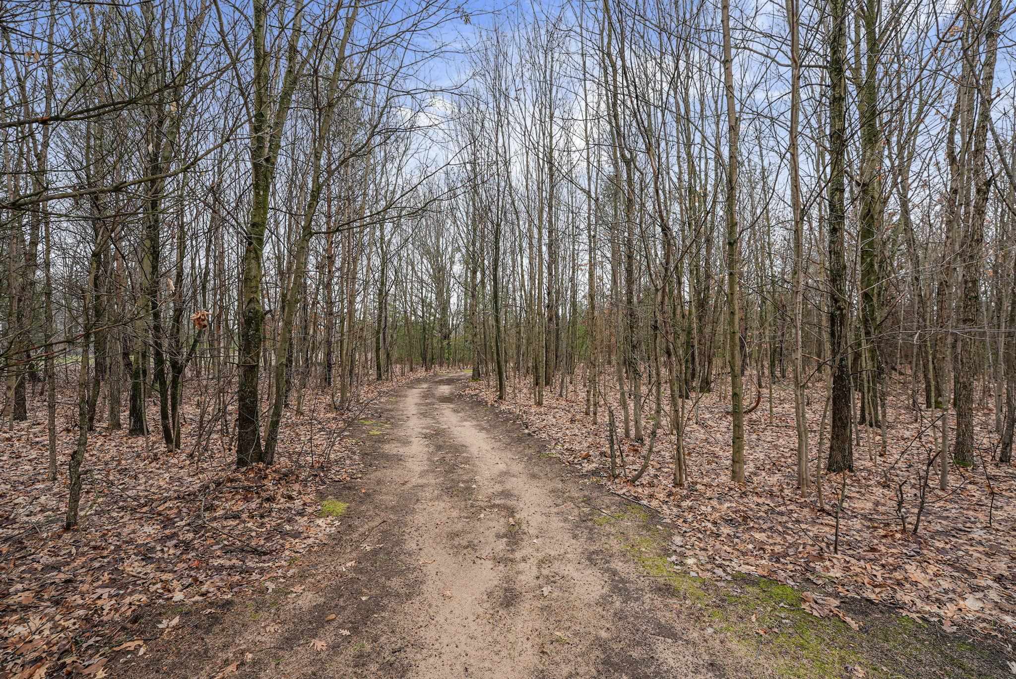 11337 Riley Road Interlochen, MI 49643 - Photo 28 of 29