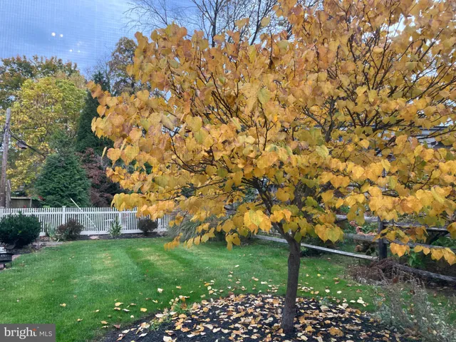 $850,000 | 106 Montgomery Avenue, Glenside, PA 19038