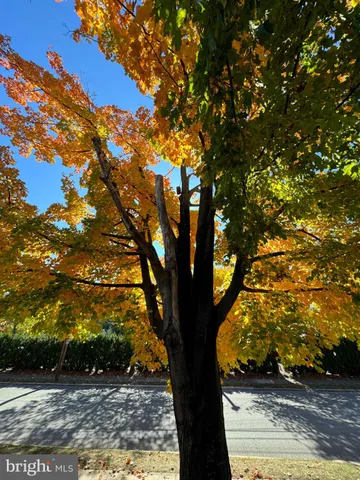 $850,000 | 106 Montgomery Avenue, Glenside, PA 19038