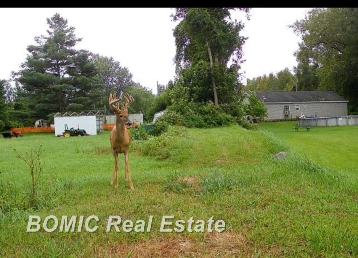 3865 Mushroom Road Caro, MI 48723 - Photo 44 of 44