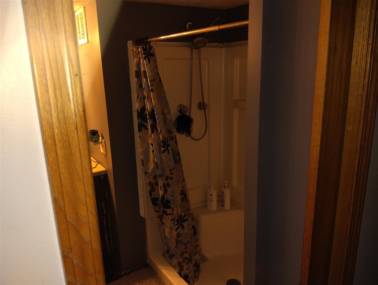 5914 East Buchanan Road Hesperia, MI 49421 - Photo 10 of 13