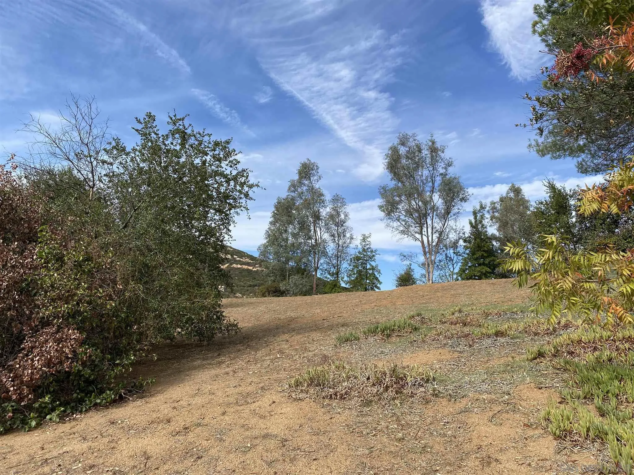 0 Pappas Road, Unit 532 Ramona, CA 92065 - Photo 4 of 15 Gallery Image 4