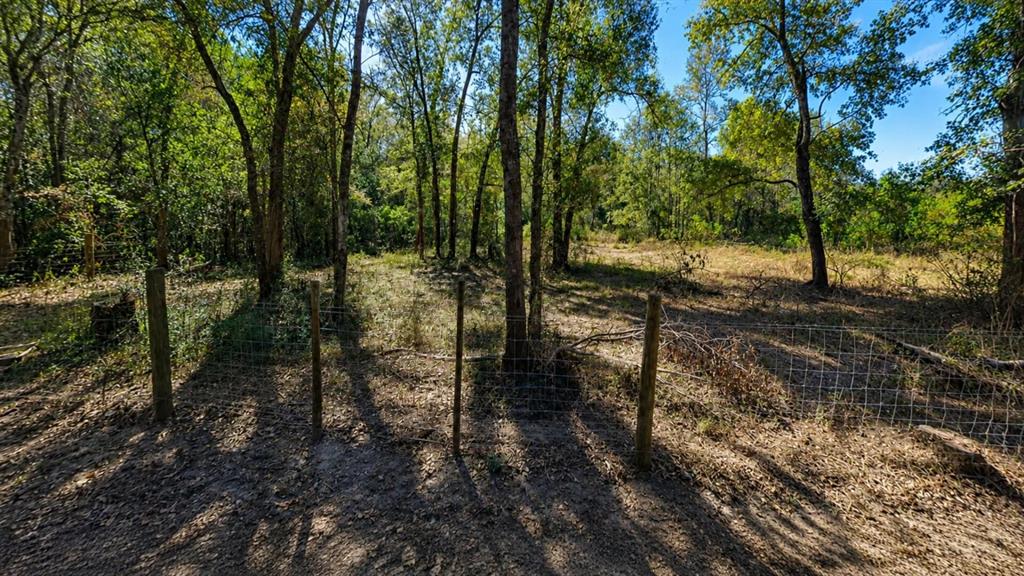 Lot 7 Dryden Street Trinity, TX 75862 - Photo 5 of 6 a view of a forest filled with trees