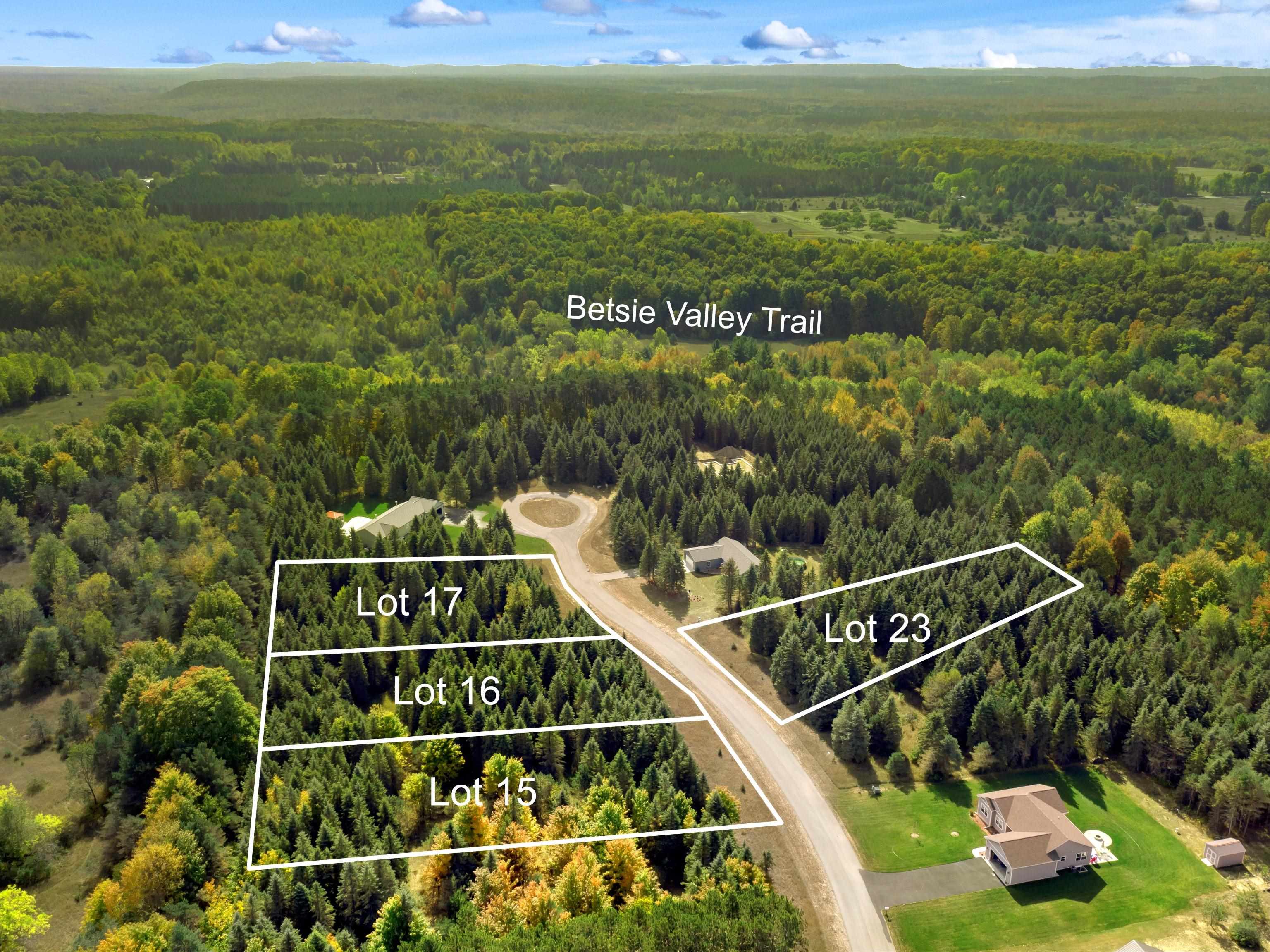 Lot 16 Lipp Farm Road Benzonia, MI 49616 - Photo 4 of 12