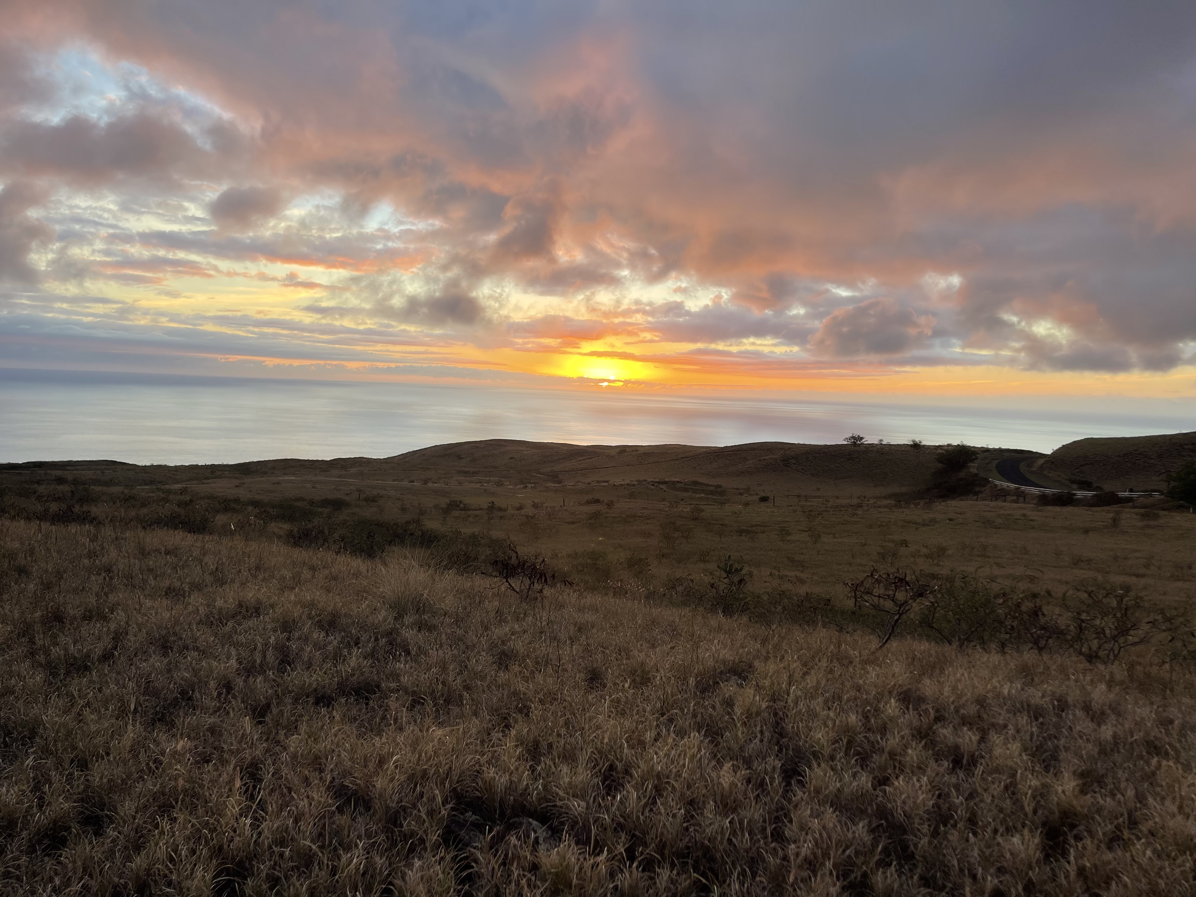 110 Kamakani Loop Kamuela, HI 96743 - Photo 4 of 9