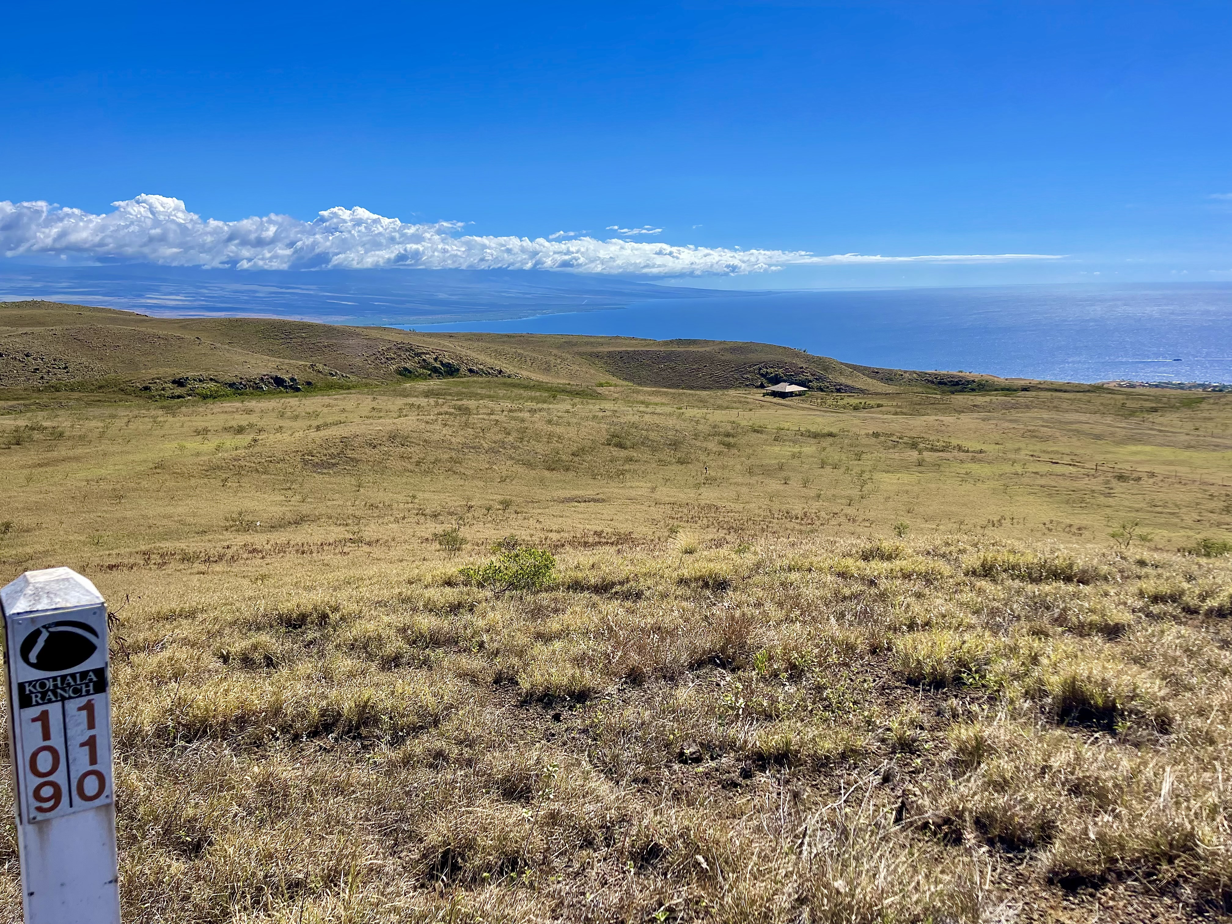 110 Kamakani Loop Kamuela, HI 96743 - Photo 5 of 9