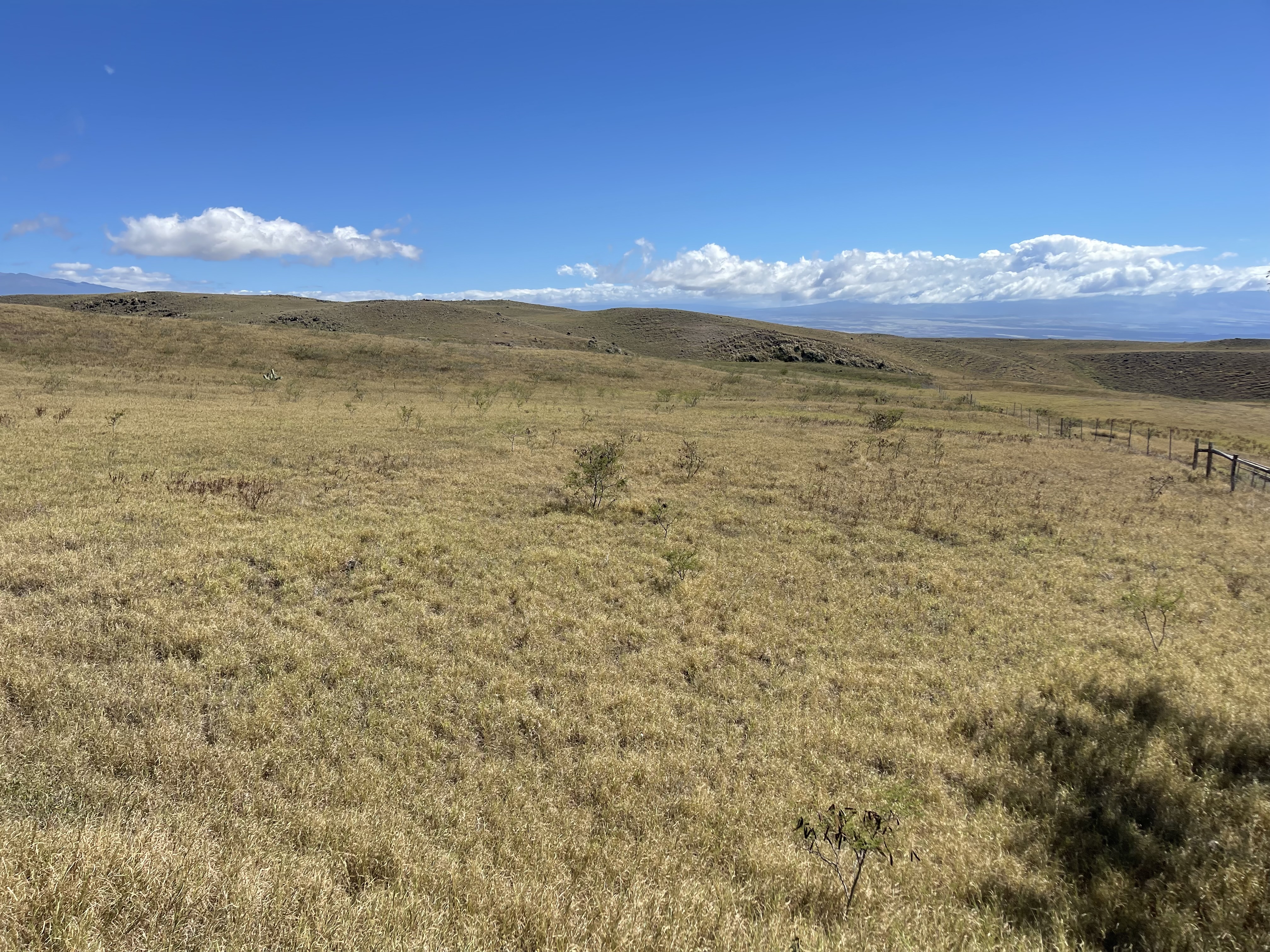 110 Kamakani Loop Kamuela, HI 96743 - Photo 6 of 9