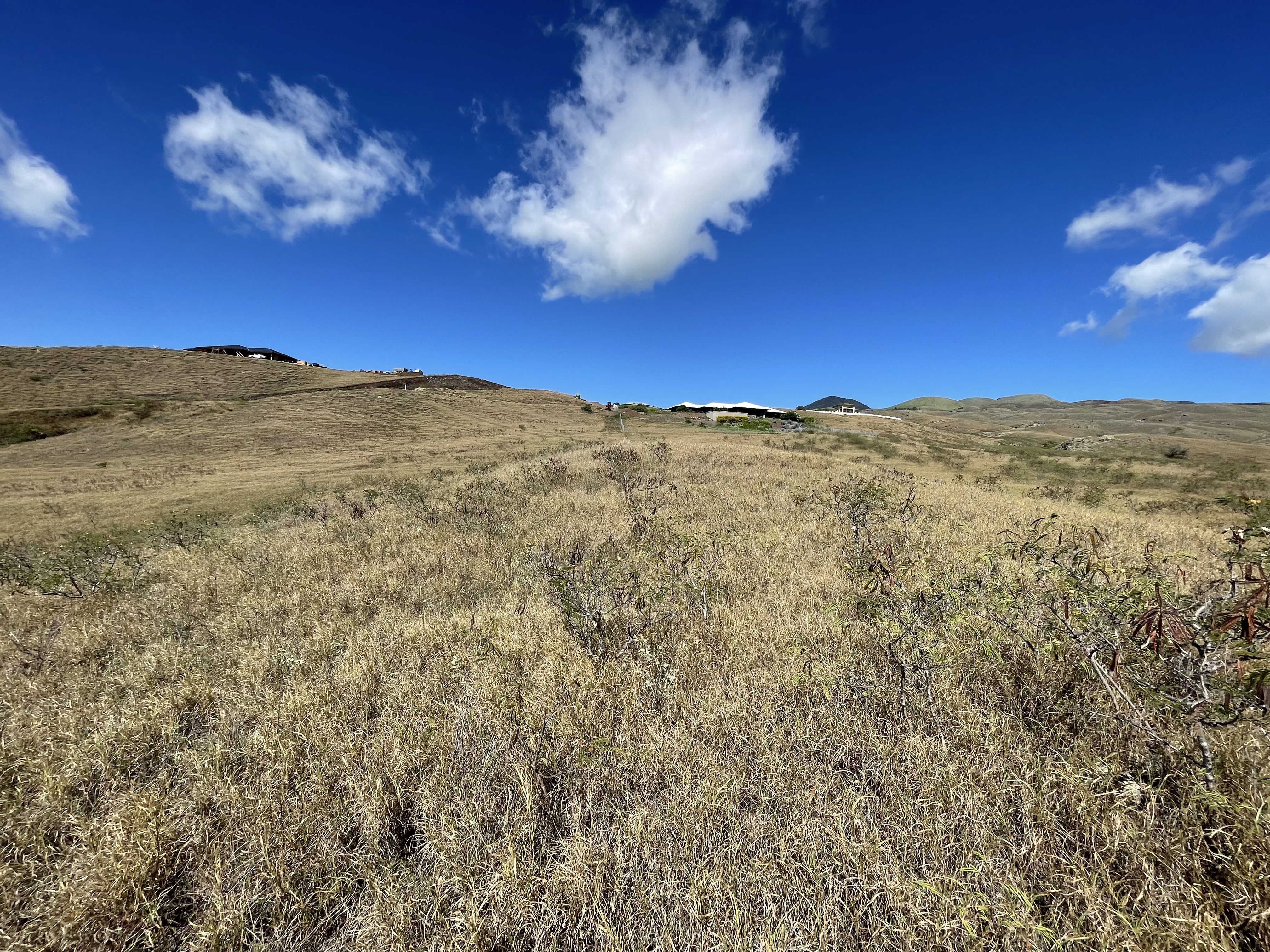 110 Kamakani Loop Kamuela, HI 96743 - Photo 8 of 9