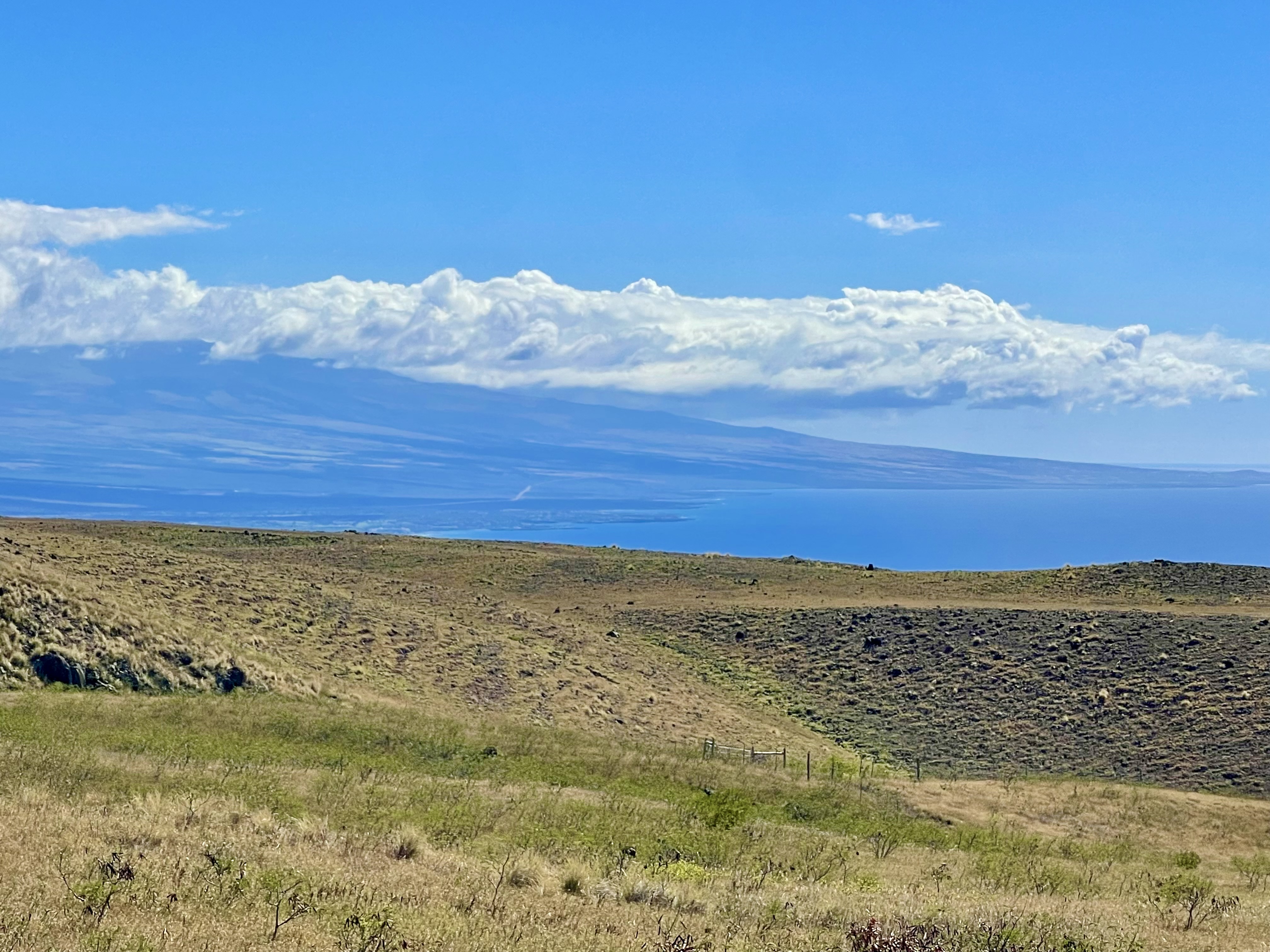 110 Kamakani Loop Kamuela, HI 96743 - Photo 9 of 9