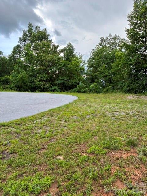 97 Devin Rdg Lane, Unit 97 Union Mills, NC 28167 - Photo 3 of 3 a view of yard with green space