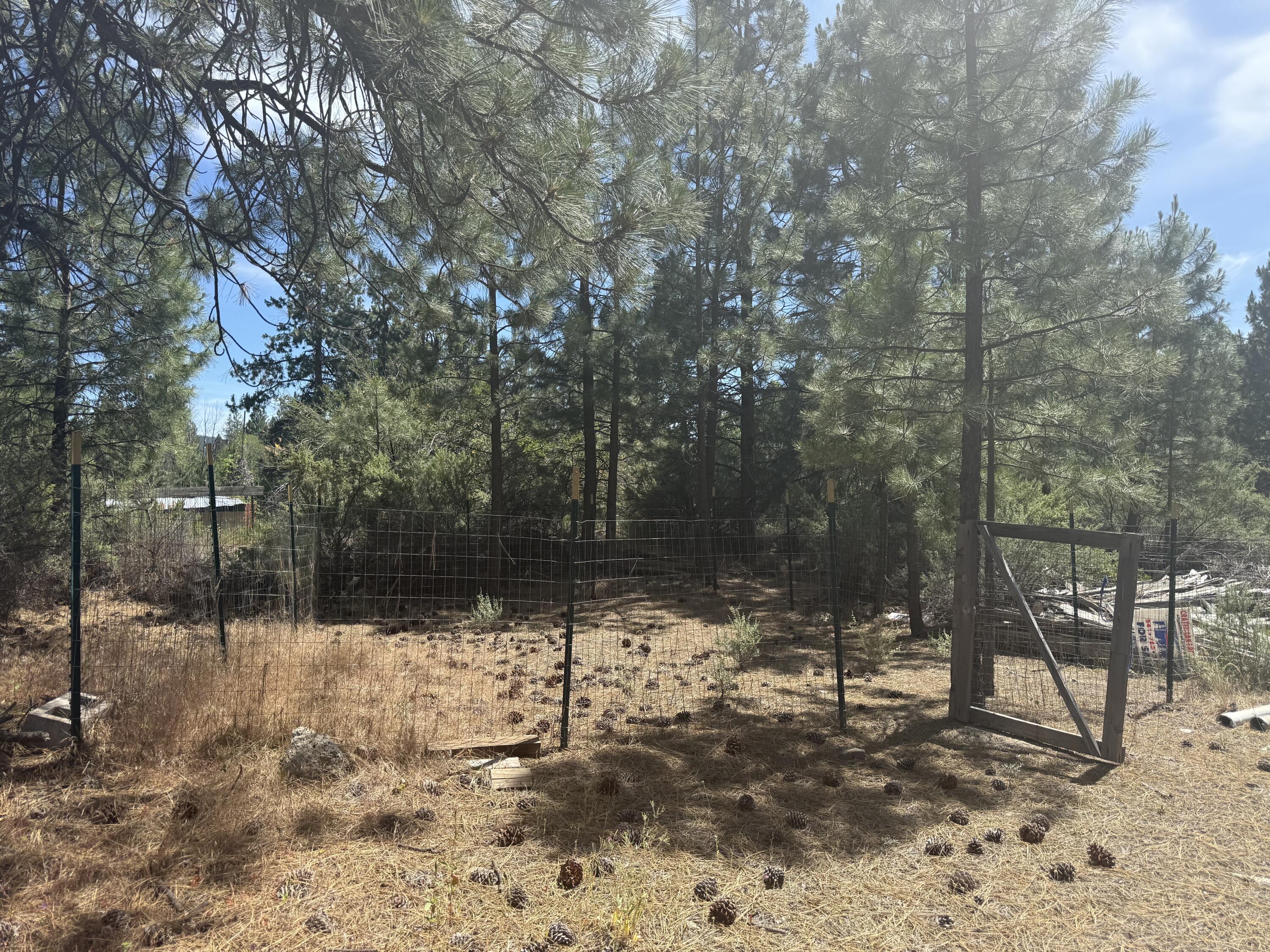 40222 Lobart Way Chiloquin, OR 97624 - Photo 5 of 10 IMG_2530