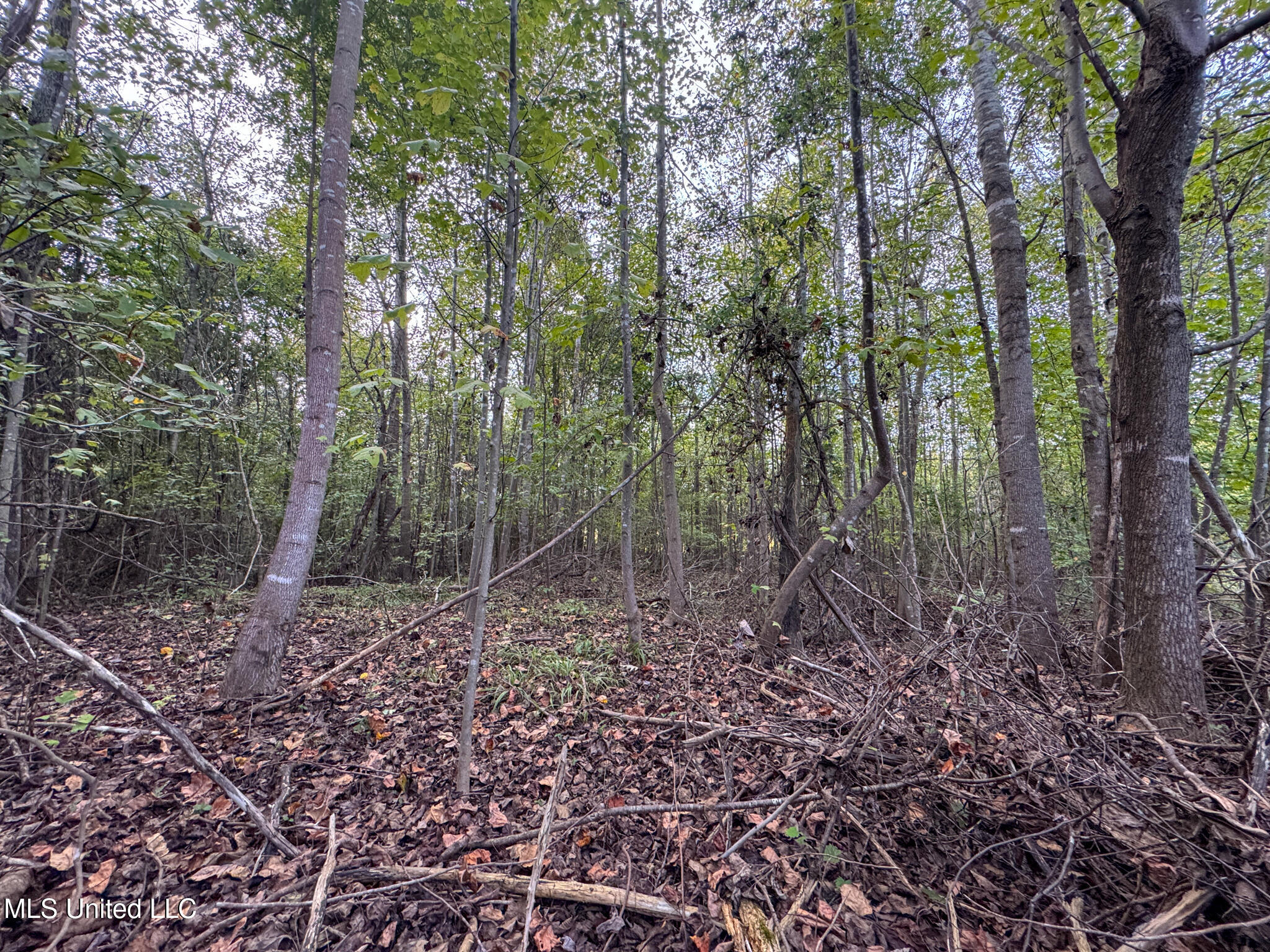Davis Lane Hernando, MS 38632 - Photo 27 of 43 MLS-DeSoto 329 Prewett (Thompson) -26