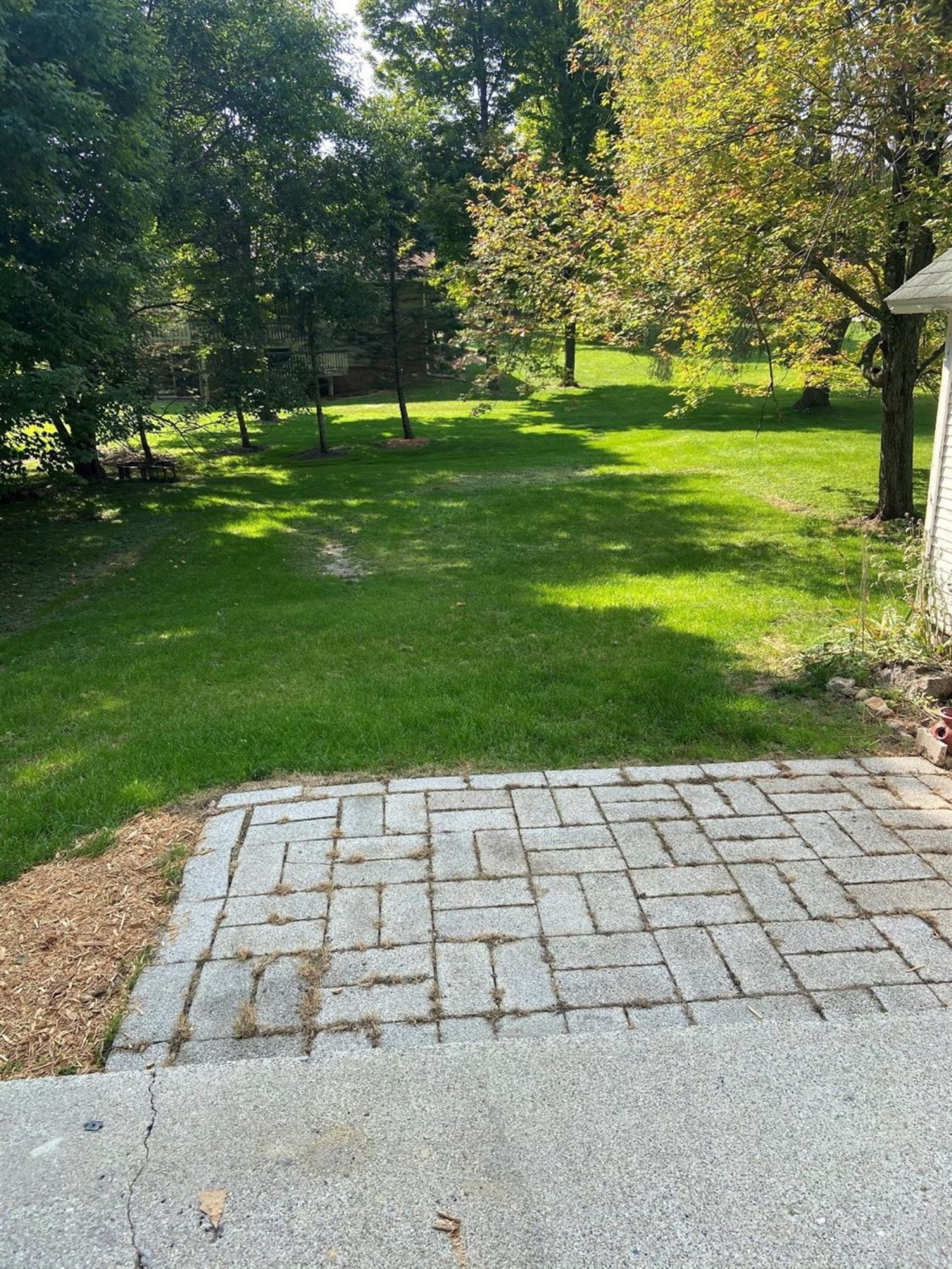 421 Territorial Road Manchester, MI 48158 - Photo 3 of 13 Photo 3
