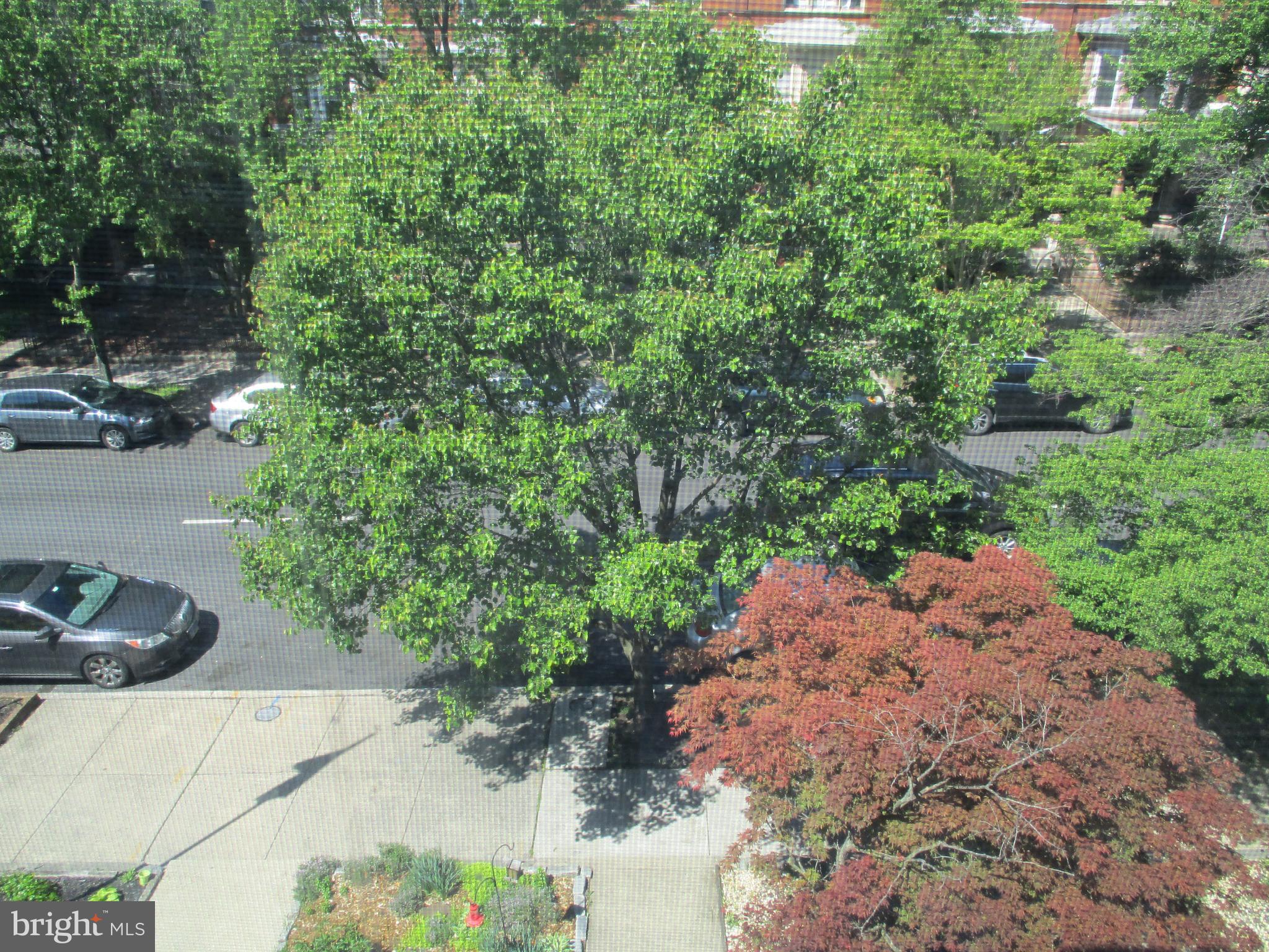 2615 North Calvert Street, Unit 3 Baltimore, MD 21218 - Photo 12 of 15 View from Kitchen/Dining room