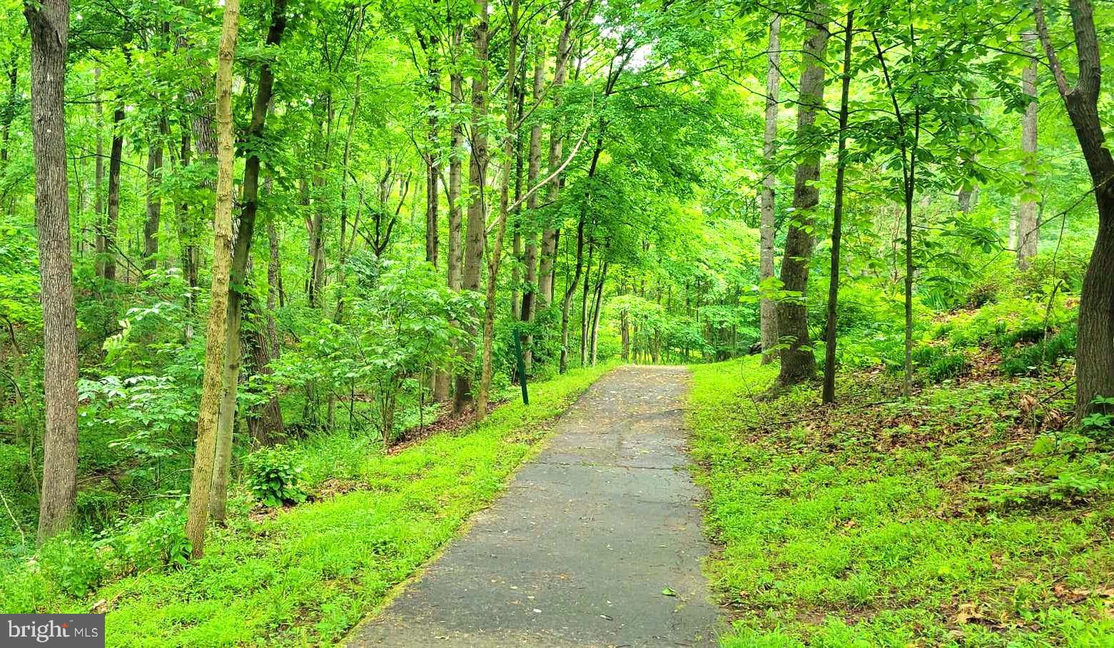 8306 Roxborough Loop Gainesville, VA 20155 - Photo 114 of 115