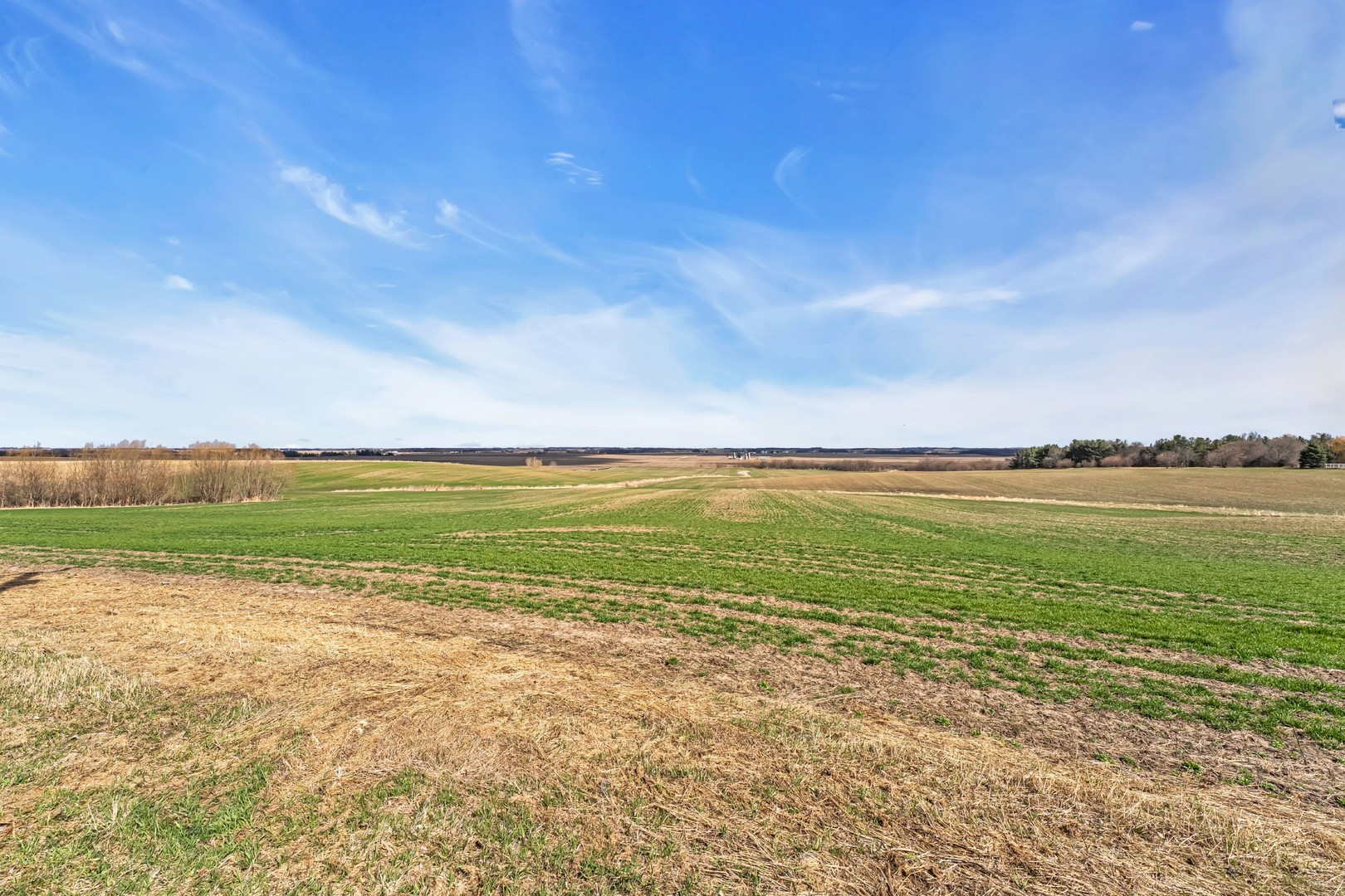 0 Mccauley Road Woodstock, IL 60098 - Photo 7 of 17