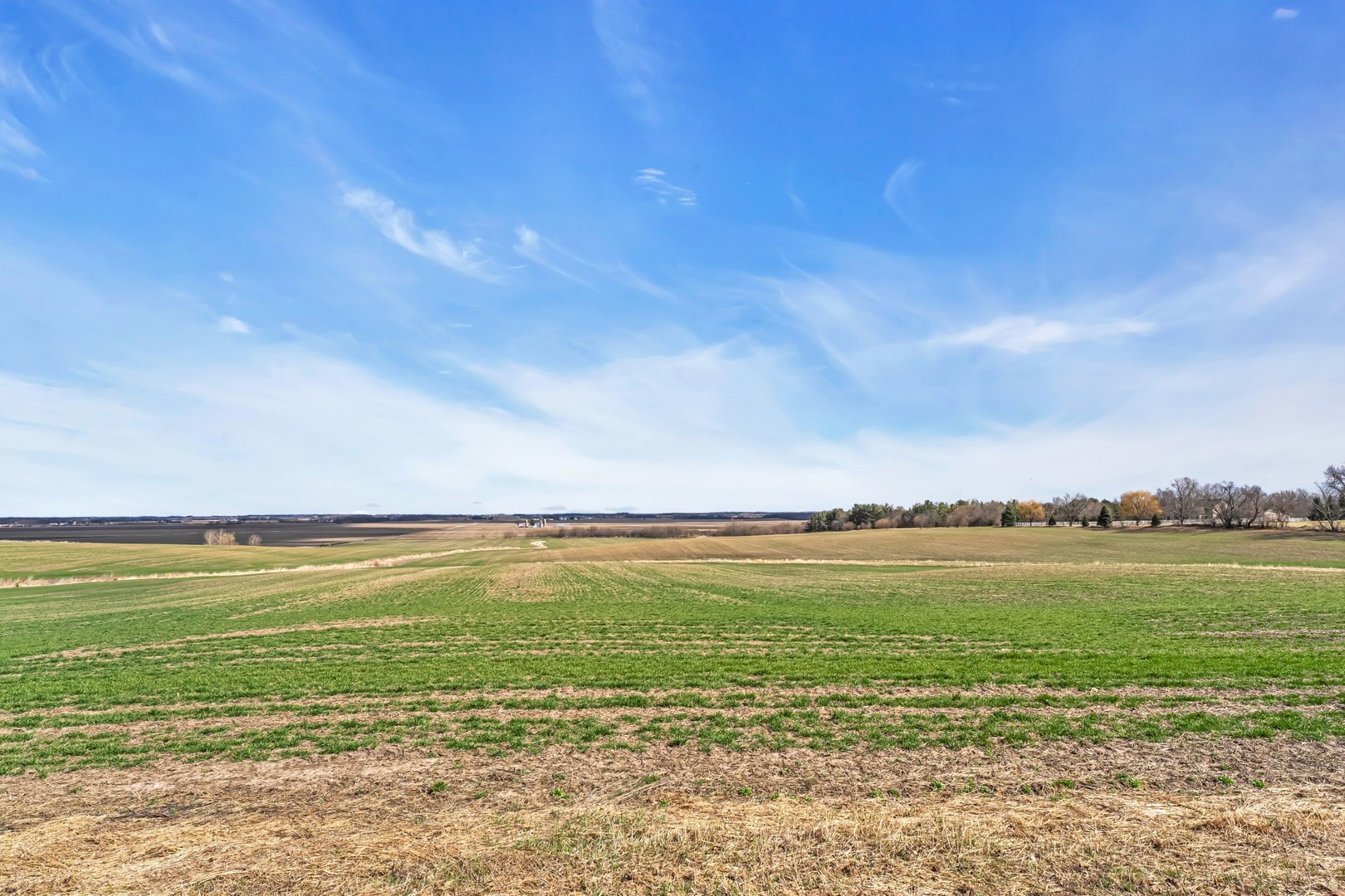 0 Mccauley Road Woodstock, IL 60098 - Photo 9 of 17