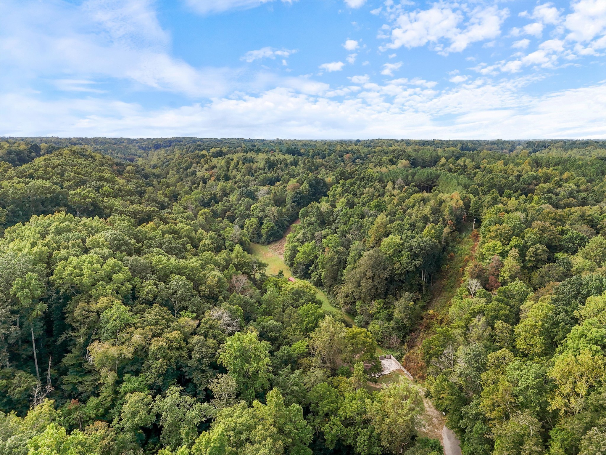 1344 Cut Off Road Ethridge, TN 38456 - Photo 11 of 19