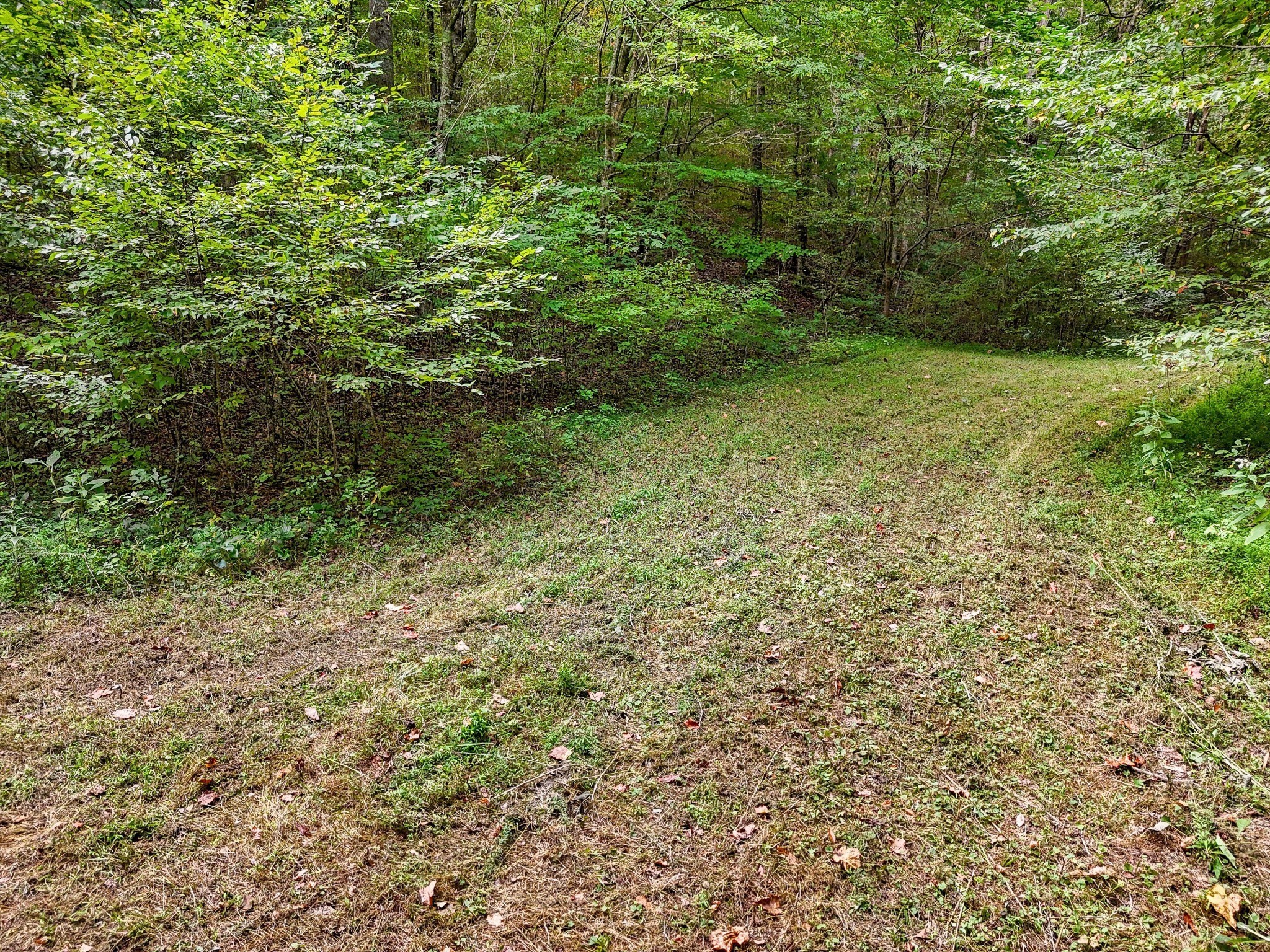 1344 Cut Off Road Ethridge, TN 38456 - Photo 7 of 19