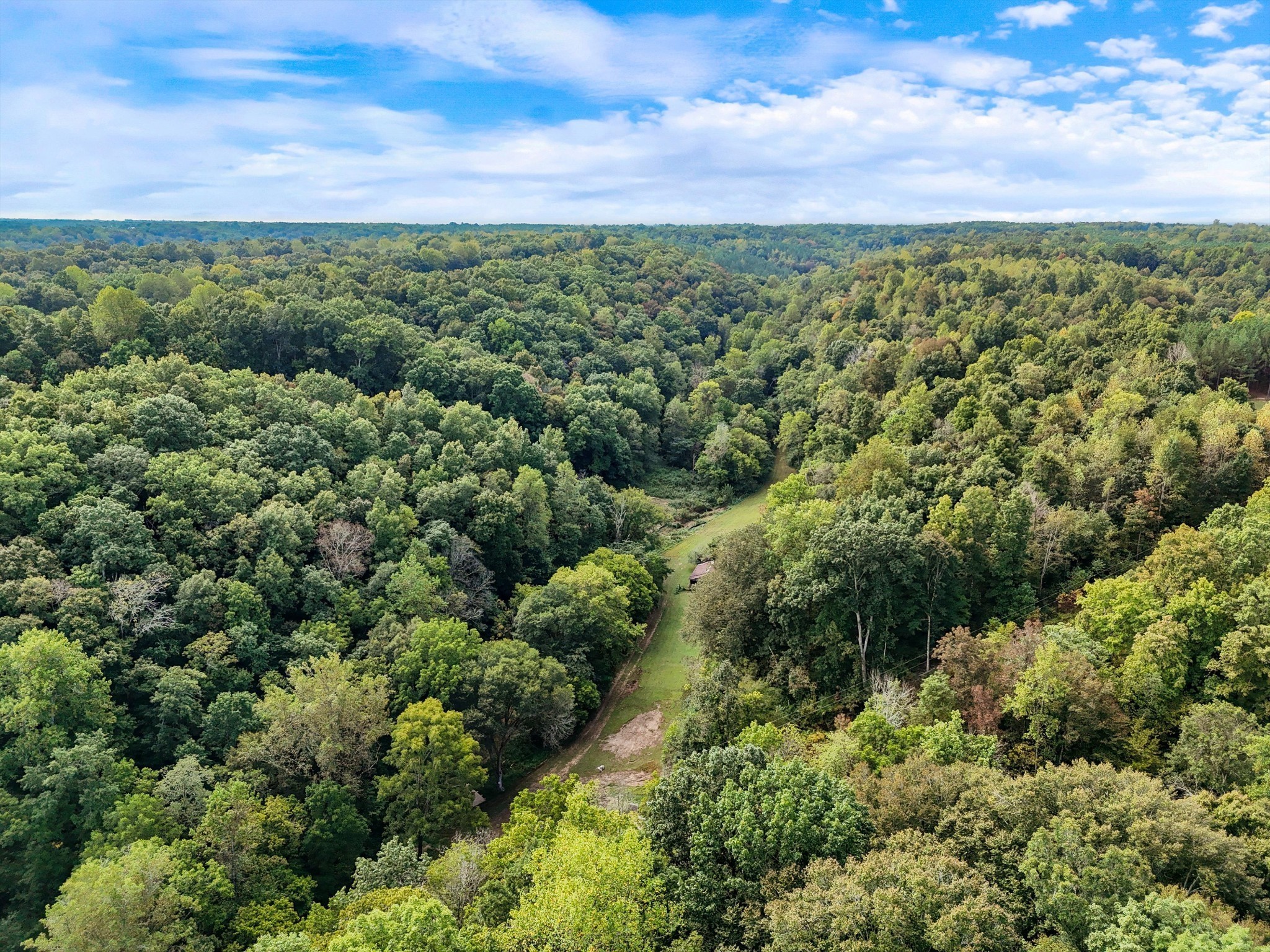 1344 Cut Off Road Ethridge, TN 38456 - Photo 10 of 19