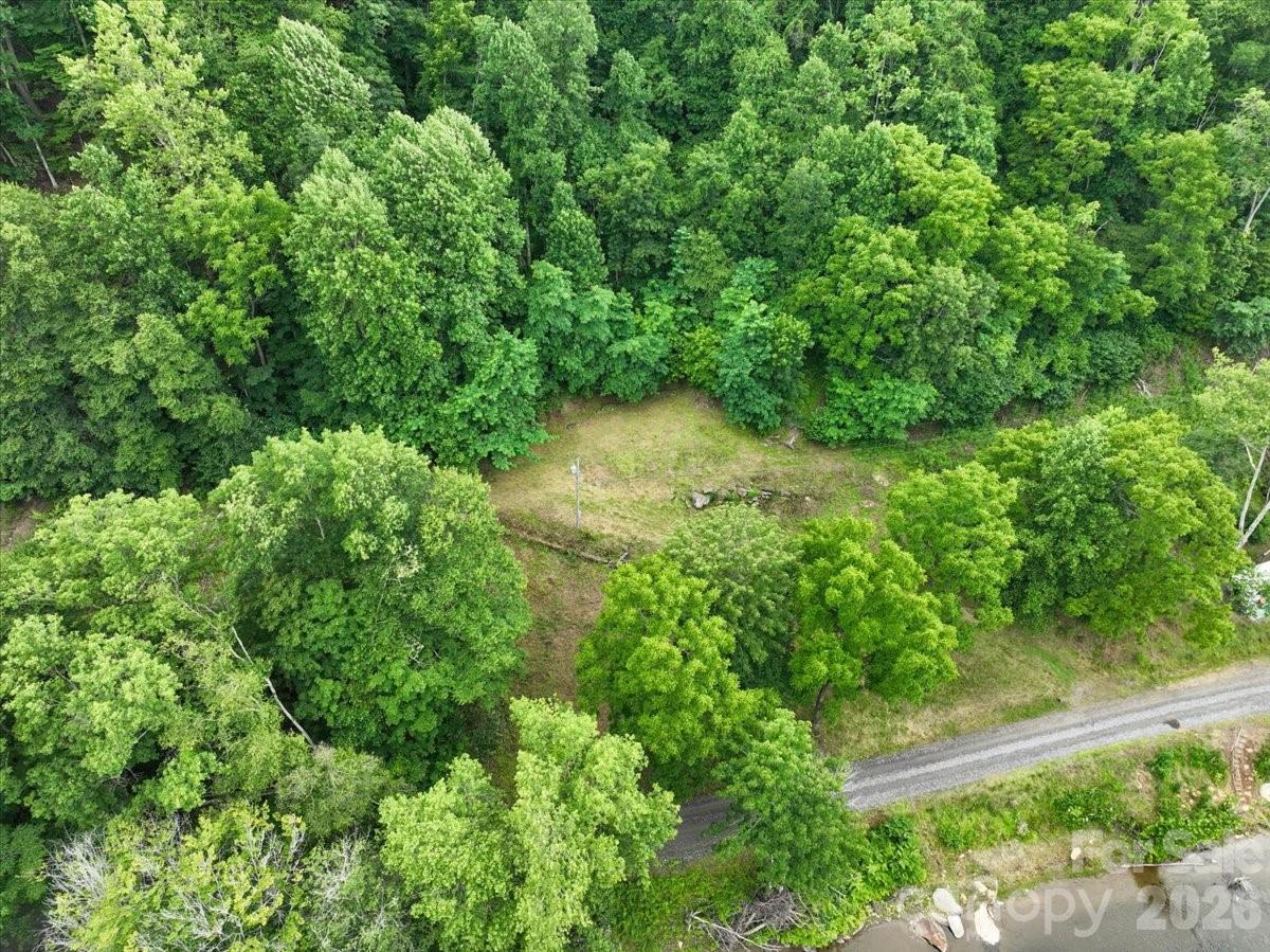 2079 Roses Branch Road Bakersville, NC 28705 - Photo 10 of 20